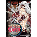 Demon Slayer: Kimetsu No Yaiba, Vol. 22