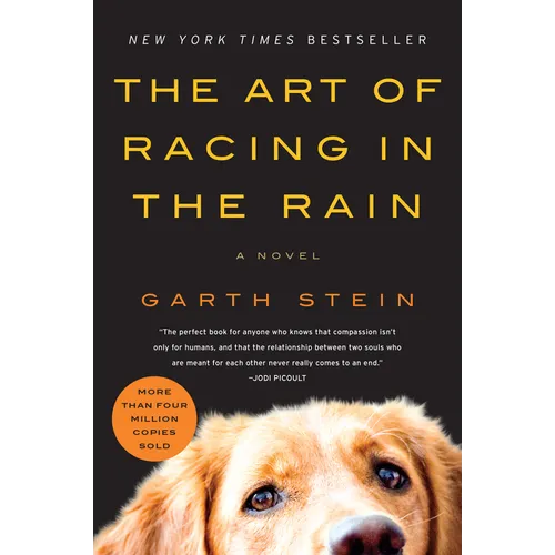 The Art of Racing in the Rain
