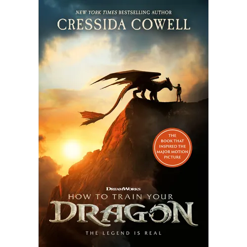 How to Train Your Dragon