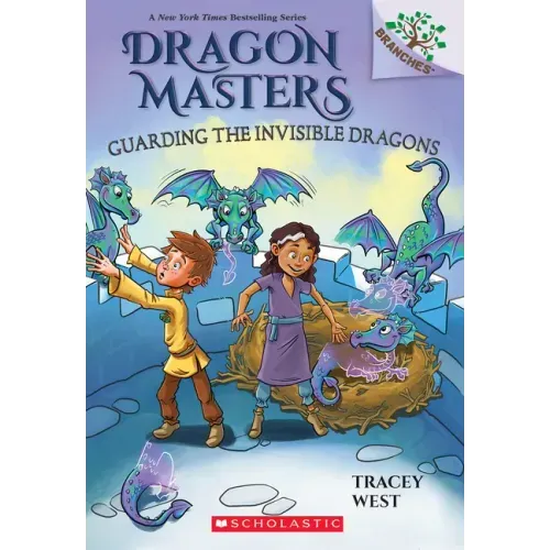 Guarding the Invisible Dragons: A Branches Book (Dragon Masters #22)