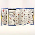 Sibley's Backyard Birds of the Northeast