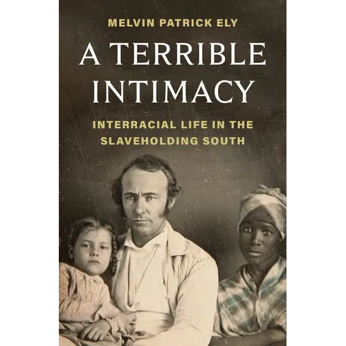 A Terrible Intimacy: Interracial Life in the Slaveholding South - Hardcover