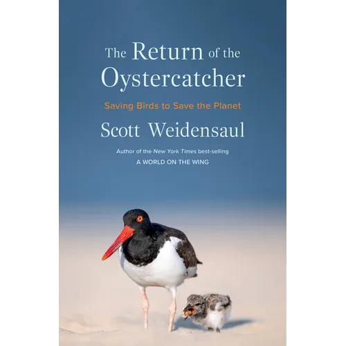 The Return of the Oystercatcher: Saving Birds to Save the Planet